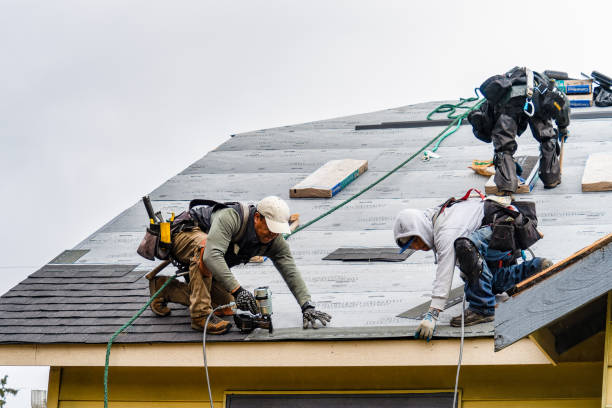 Professional Flat Roof Repair technician working in Upland, IN